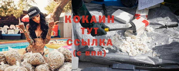 индика Абдулино