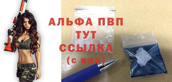 индика Абдулино