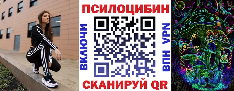 блэк спрут ссылки  продажа наркотиков  Мещовск  Псилоцибиновые грибы Psilocybe 